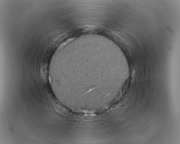 X0000110930868200907301621