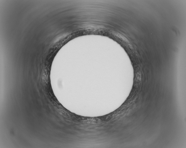 X0000110930869200907301621