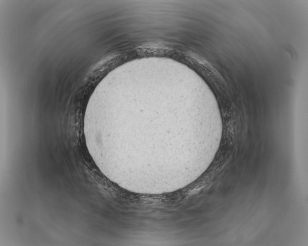 X0000110930870200907301621