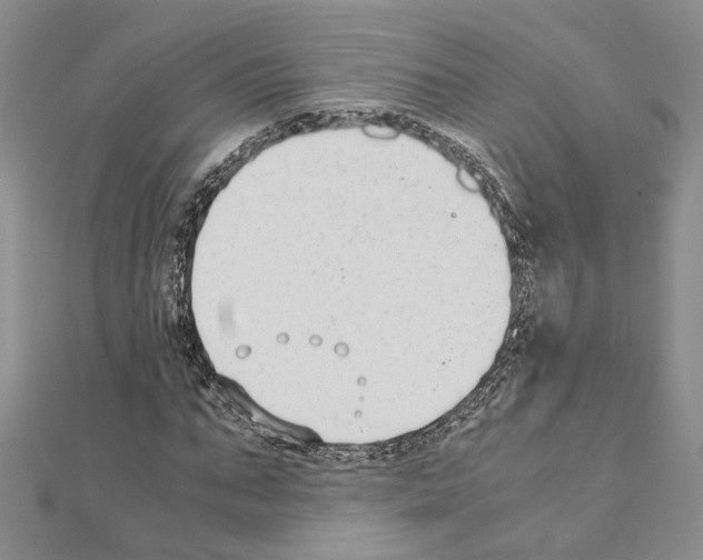 X0000110930871200907301621