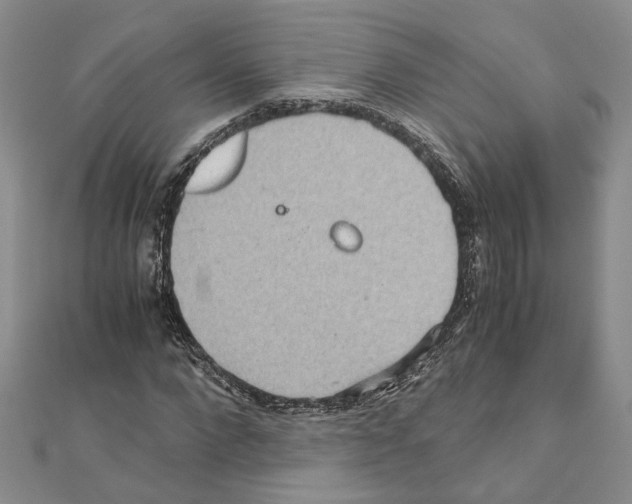 X0000110930872200907301621