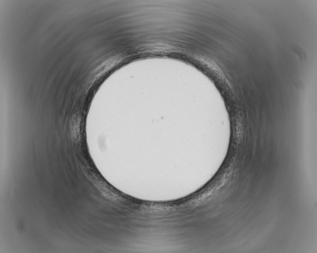 X0000110930873200907301621