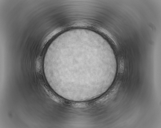 X0000110930874200907301621