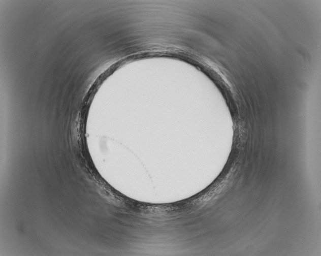 X0000110930875200907301621