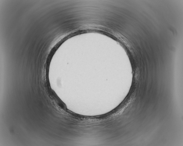 X0000110930877200907301621