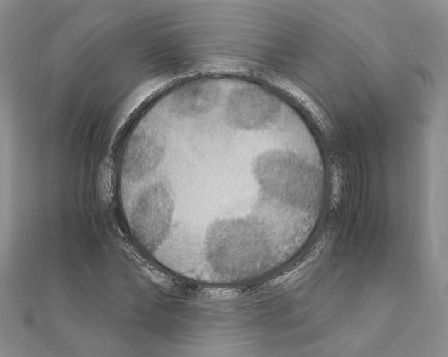 X0000110930878200907301621