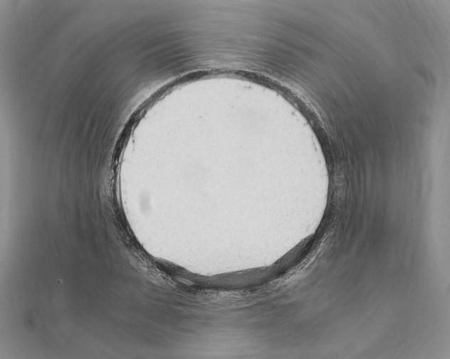 X0000110930879200907301621