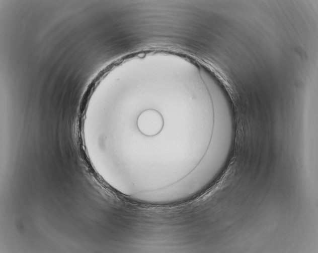 X0000110930880200907301621