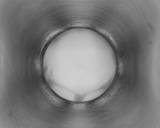 X0000110930882200907301621