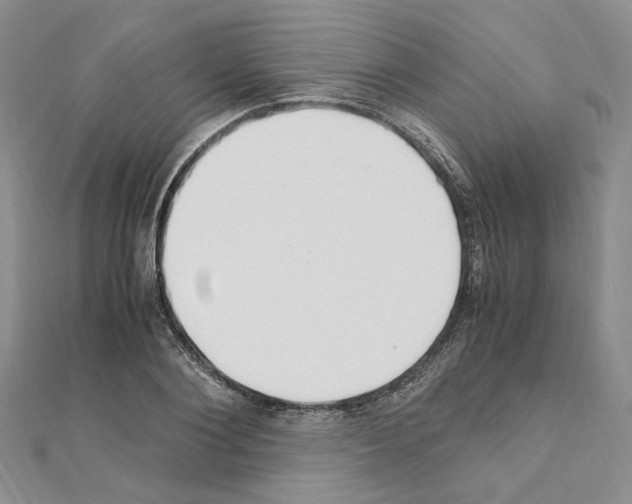 X0000110930884200907301621