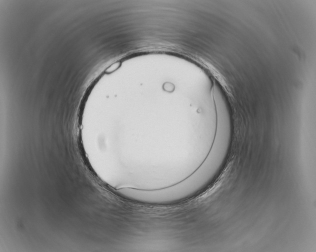 X0000110930885200907301621