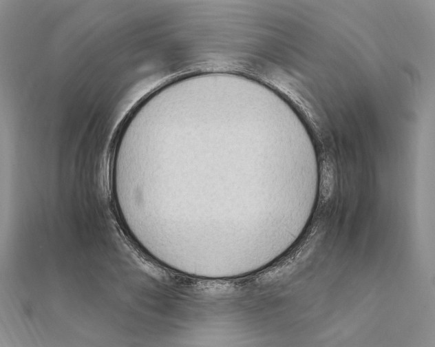 X0000110930886200907301621