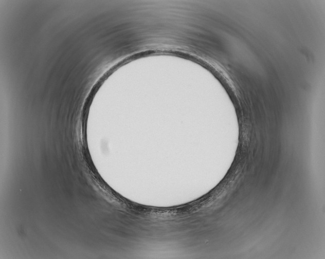 X0000110930887200907301621