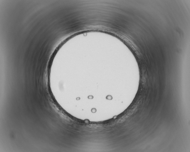 X0000110930888200907301621