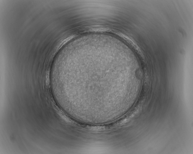 X0000110930889200907301621