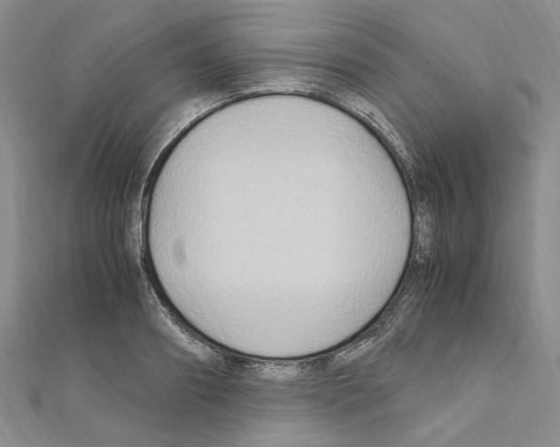 X0000110930890200907301621