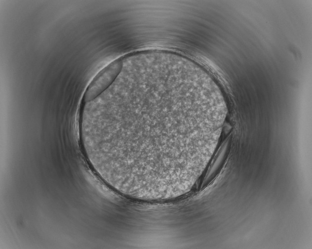 X0000110930892200907301621
