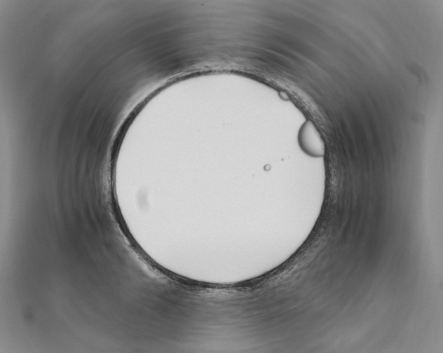 X0000110930894200907301621