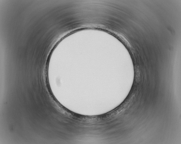 X0000110930895200907301621