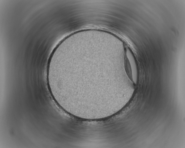 X0000110930896200907301621
