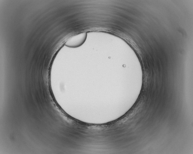 X0000110930898200907301621