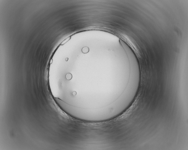 X0000110930900200907301621