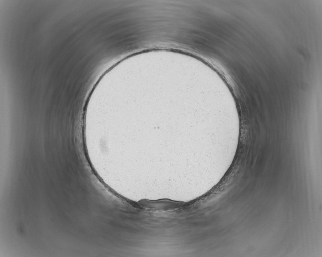 X0000110930903200907301621