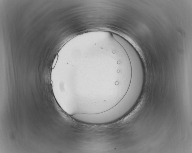 X0000110930905200907301621
