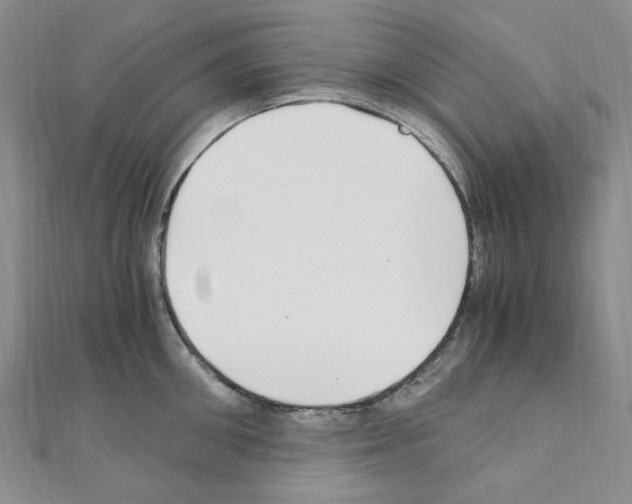 X0000110930906200907301621