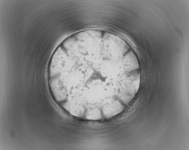 X0000110930907200907301621