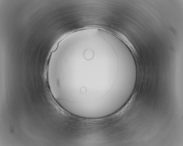 X0000110930908200907301621