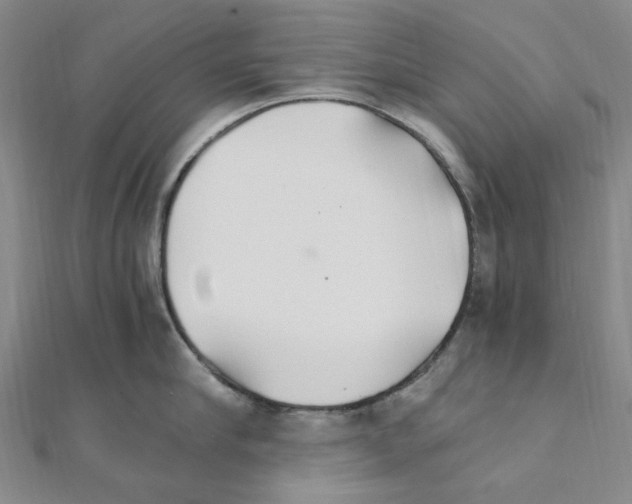 X0000110930910200907301621