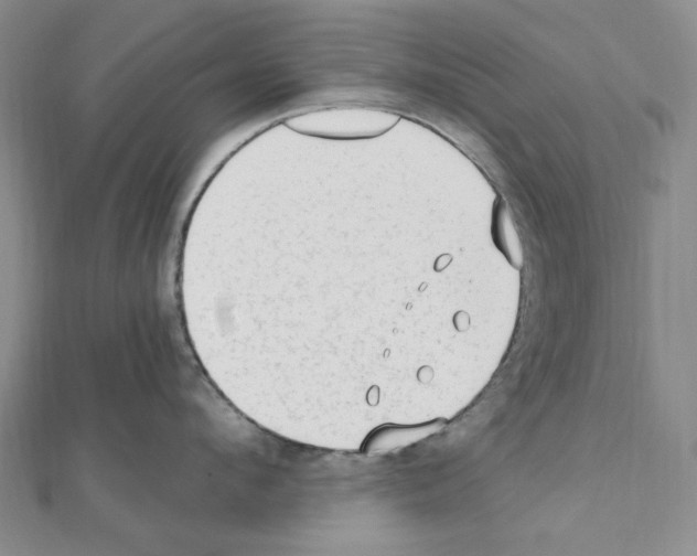 X0000110930912200907301621