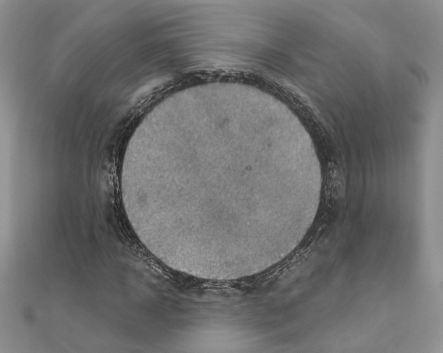 X0000110930918200907301620