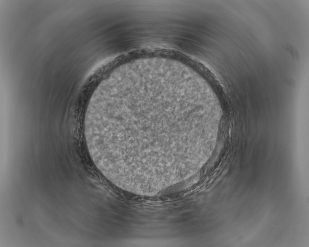 X0000110930919200907301620