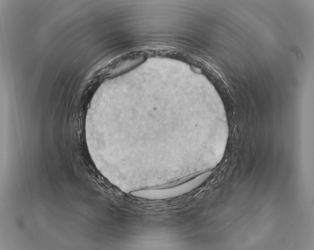 X0000110930920200907301620