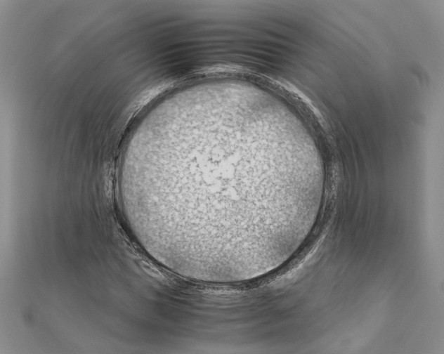 X0000110930921200907301620