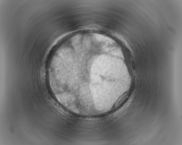 X0000110930923200907301620