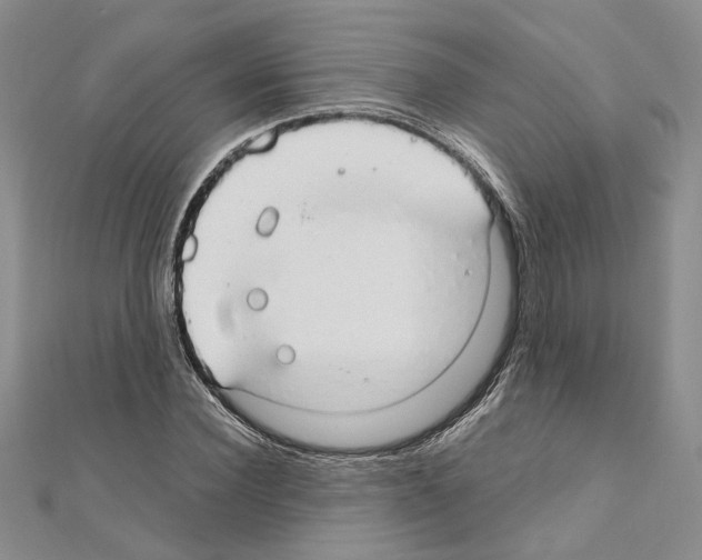X0000110930924200907301620