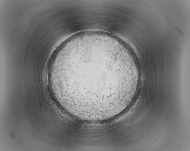 X0000110930925200907301620