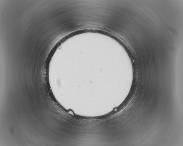 X0000110930926200907301620