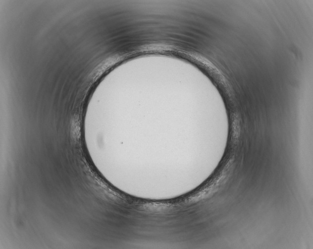 X0000110930929200907301620
