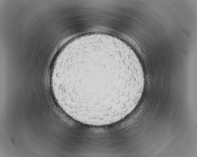 X0000110930931200907301620