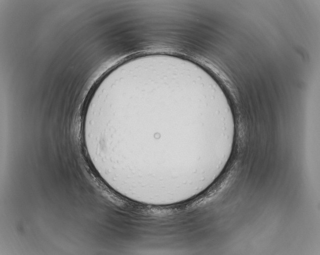 X0000110930933200907301620