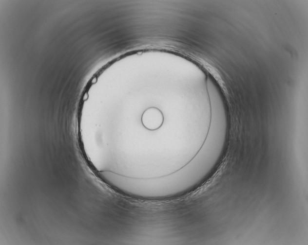 X0000110930936200907301620