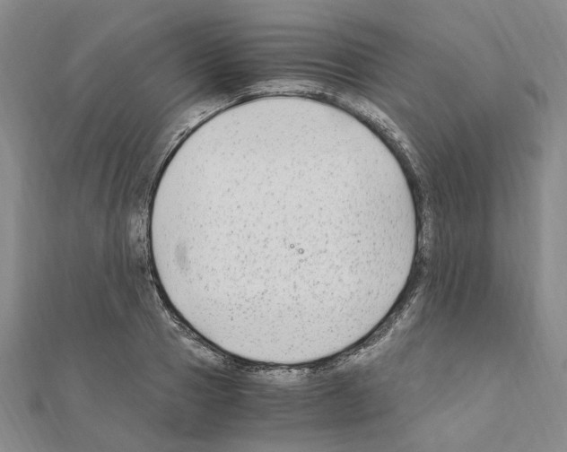 X0000110930937200907301620