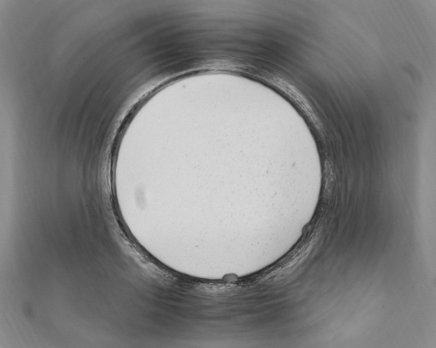 X0000110930939200907301620