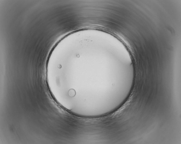 X0000110930940200907301620