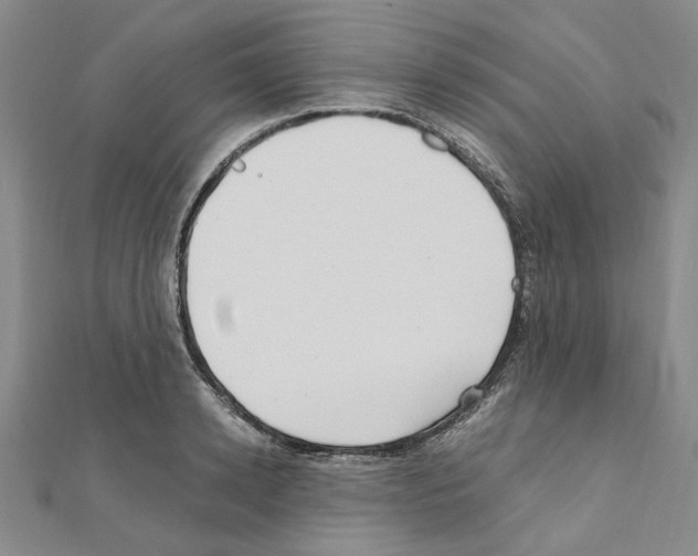 X0000110930942200907301620