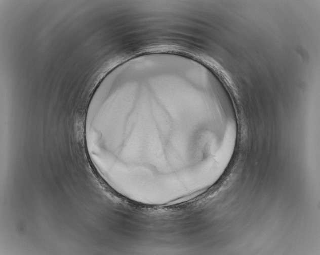 X0000110930945200907301620